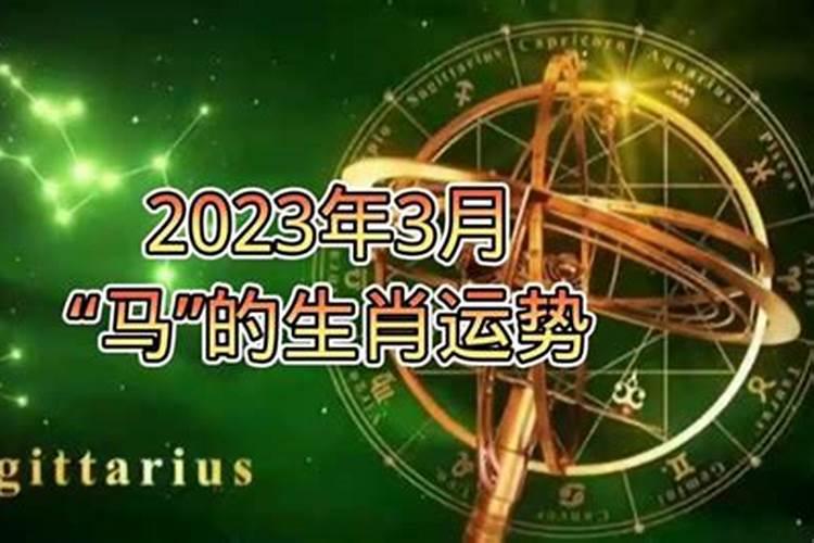 2023年属相马