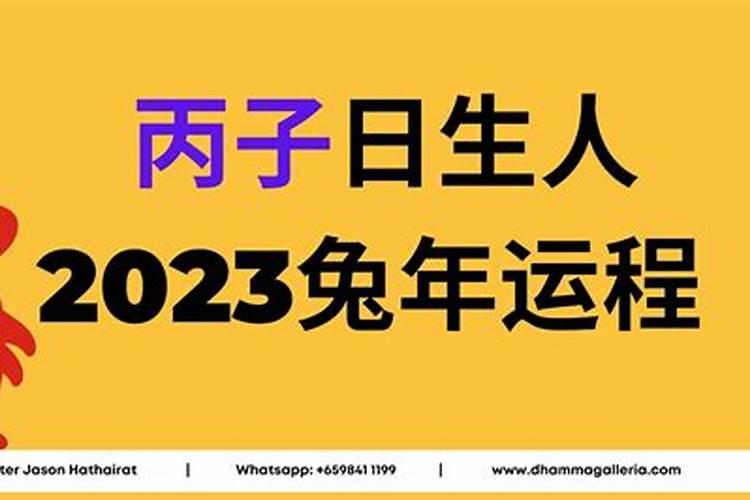 66年属马人今年运势