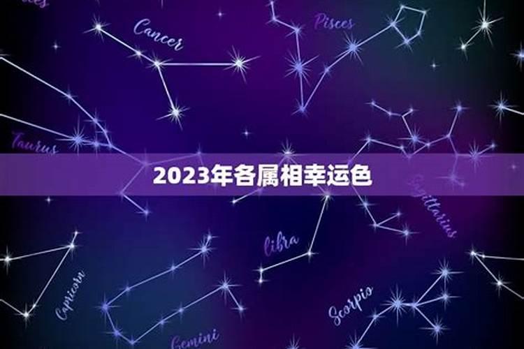 属狗今年的幸运色是什么