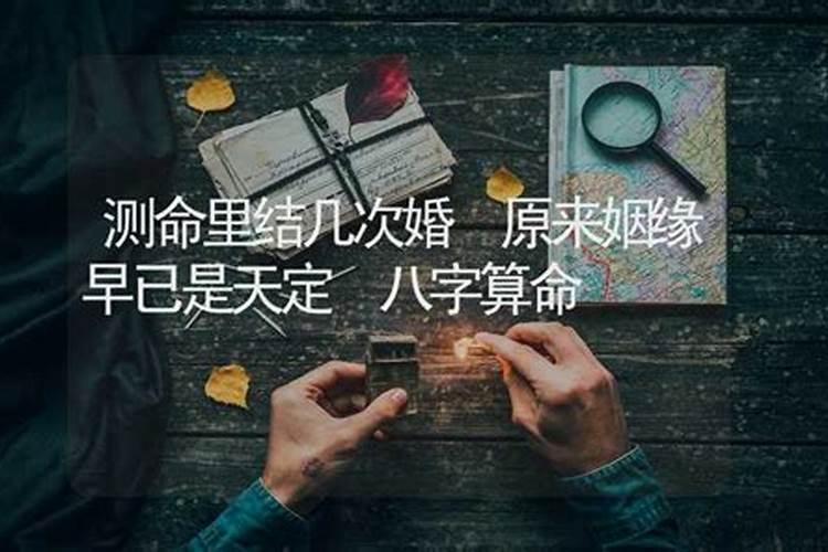 87的兔今年运势怎么样