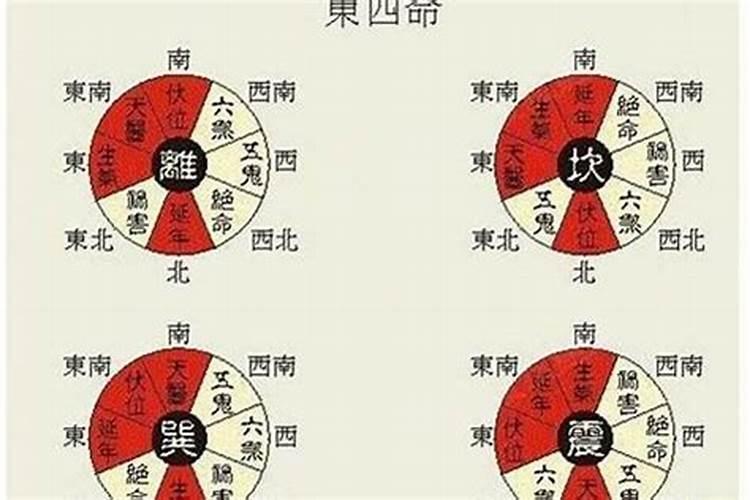 2023年哪几个属相冲太岁