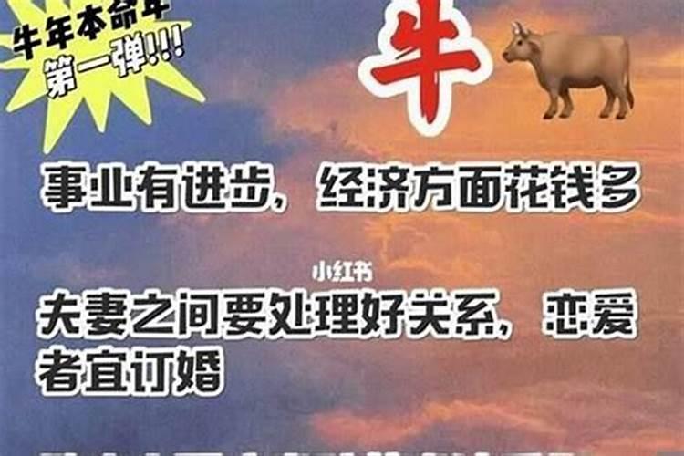 68年的猴在2021年的运势如何