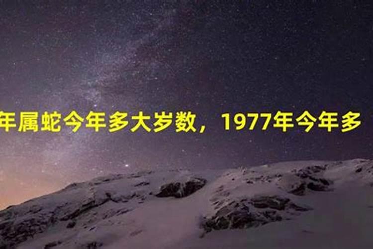 1977年属蛇的人今年多大岁数