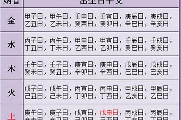 属猪农历8月生运势如何