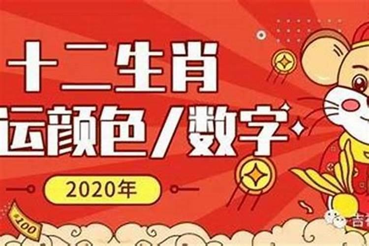 2023年是属什么的幸运年呢