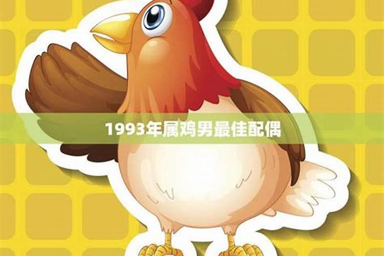 1993年男属鸡的最佳配偶属相