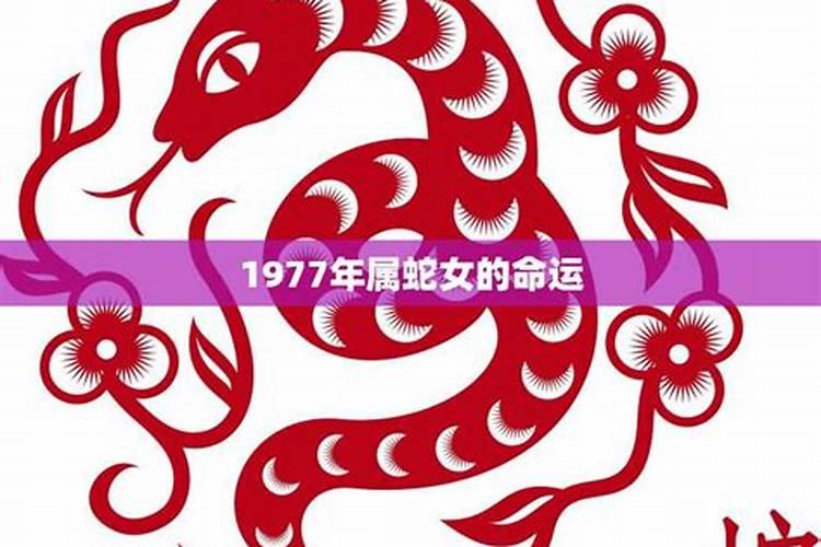 1977属蛇十月出生女命运如何