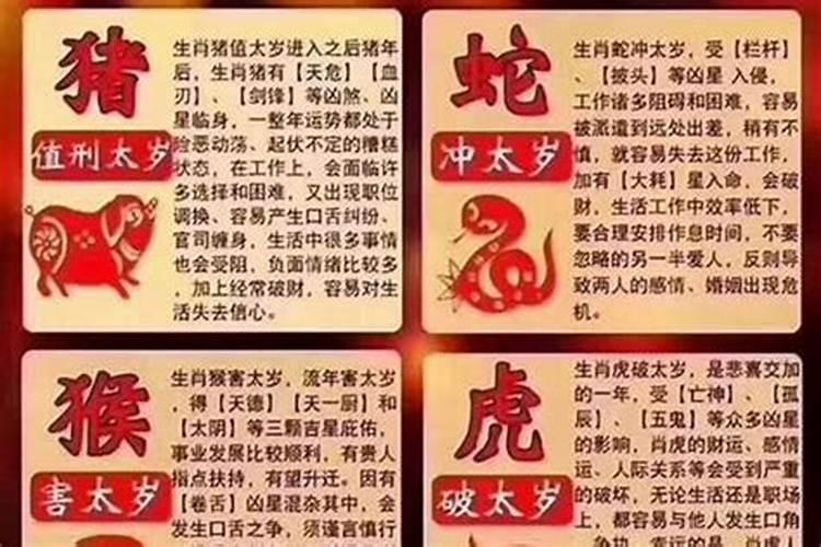 属马改名宜忌