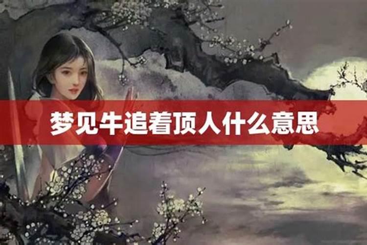 梦见牛顶人预示什么