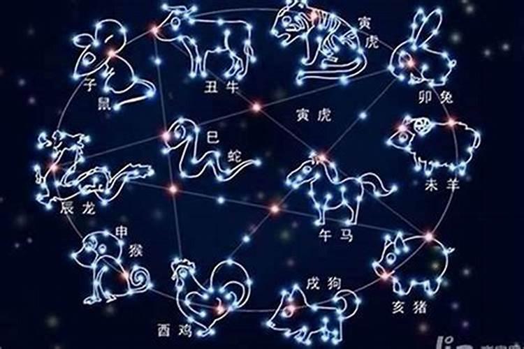 十二生肖都是啥星座