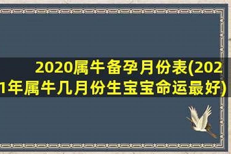 2021年属牛几月的宝宝出生好