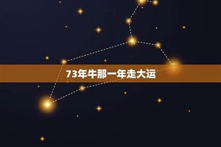 73年属牛哪年走大运