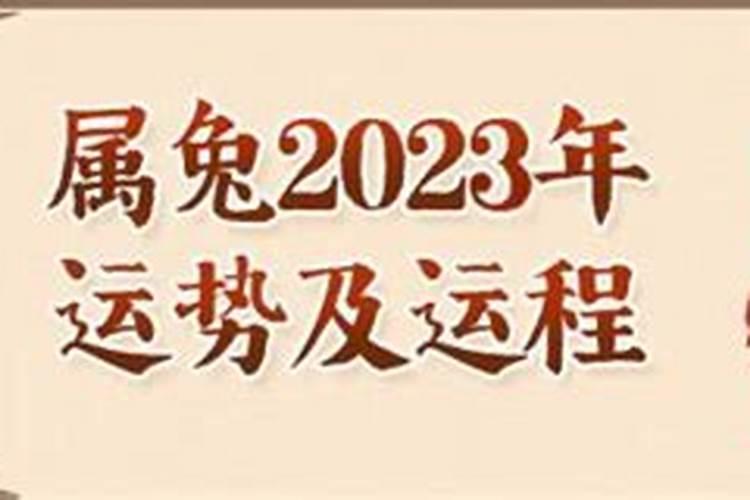 87年属兔2023年本命年运势