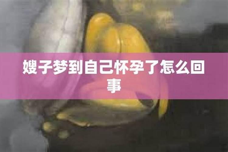 梦见嫂子怀孕怎么回事啊周公解梦