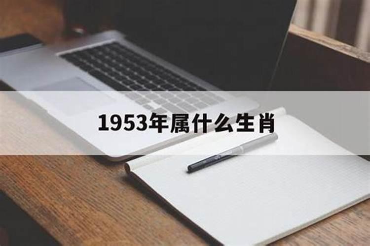 1953年是啥生肖