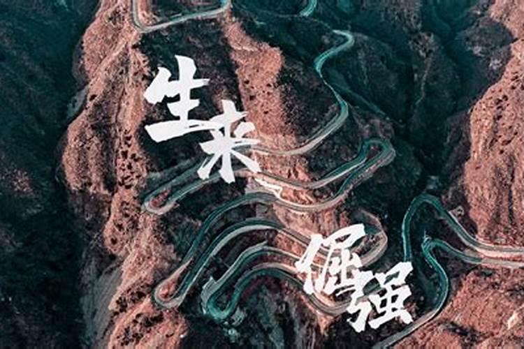 梦见水漫马路我没路可走