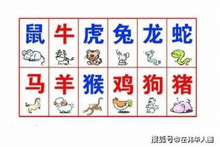 猪虎属性八字合吗