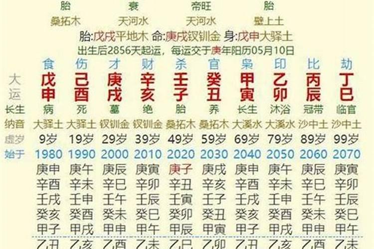 农历1997年11月19日的命运如何