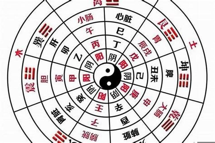 什么是属阴生辰八字