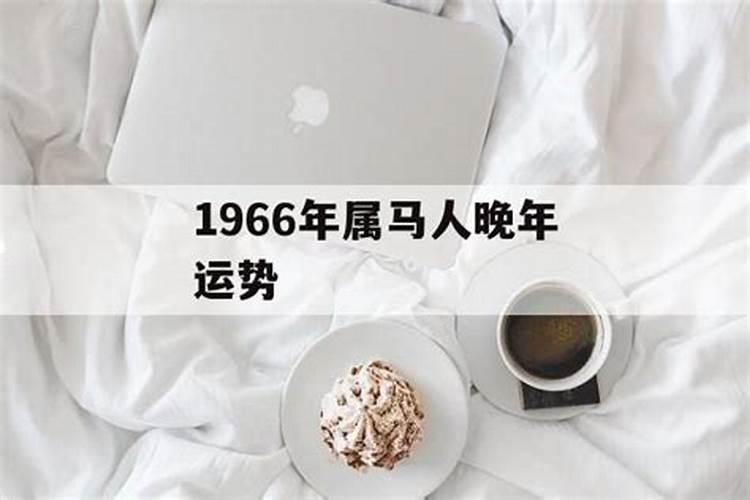 1966年属马晚年如何