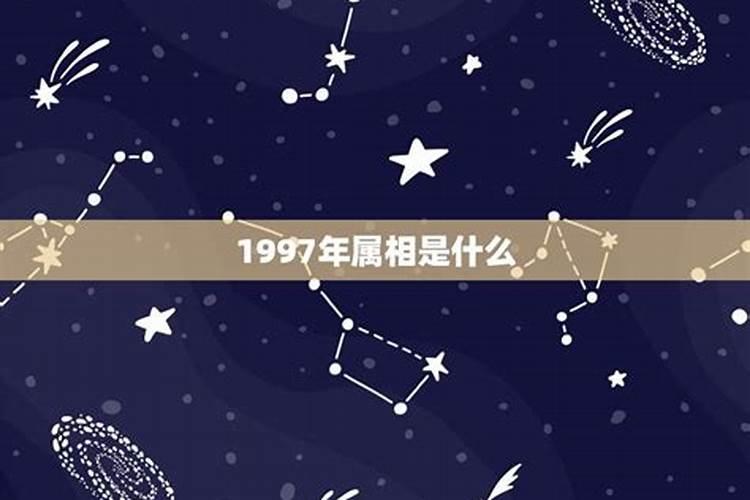 1997年是属什么年