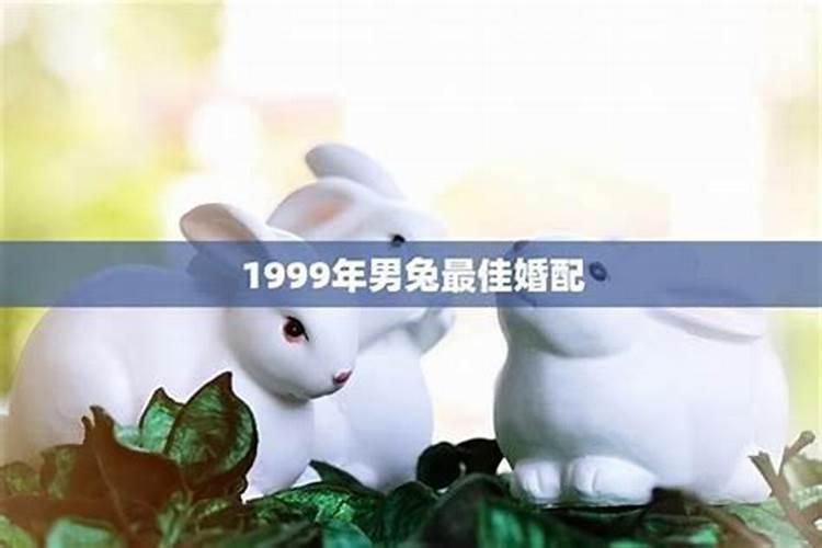 99年属兔男最佳结婚年龄是多少