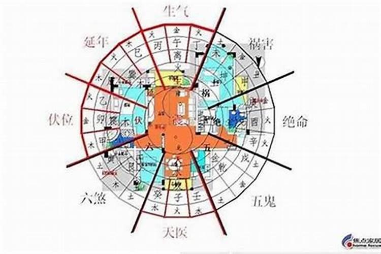 楼层和生肖的关系