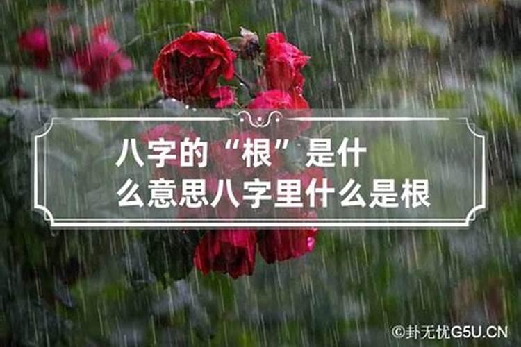 八字身旺身弱什么意思