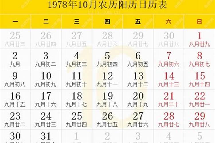 78年10月23的马是什么命