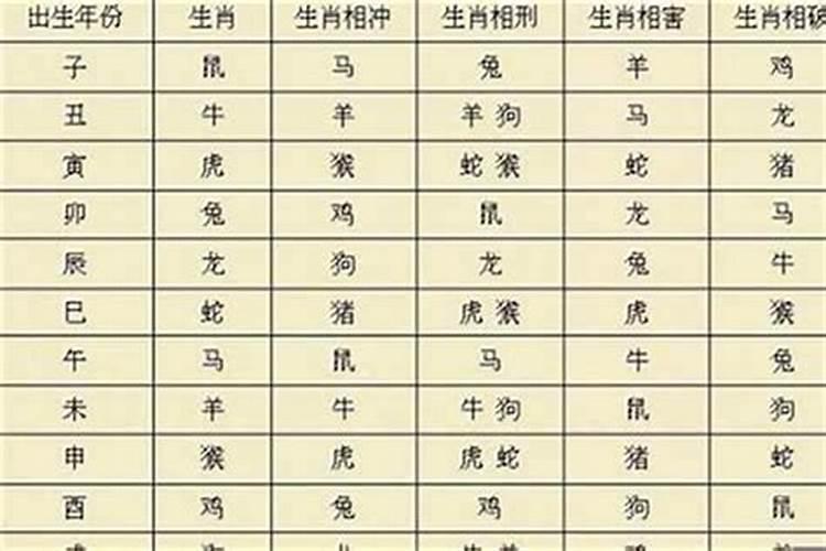 属猪跟属兔的八字合吗