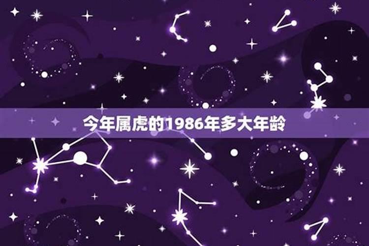 属虎86年的今年多大