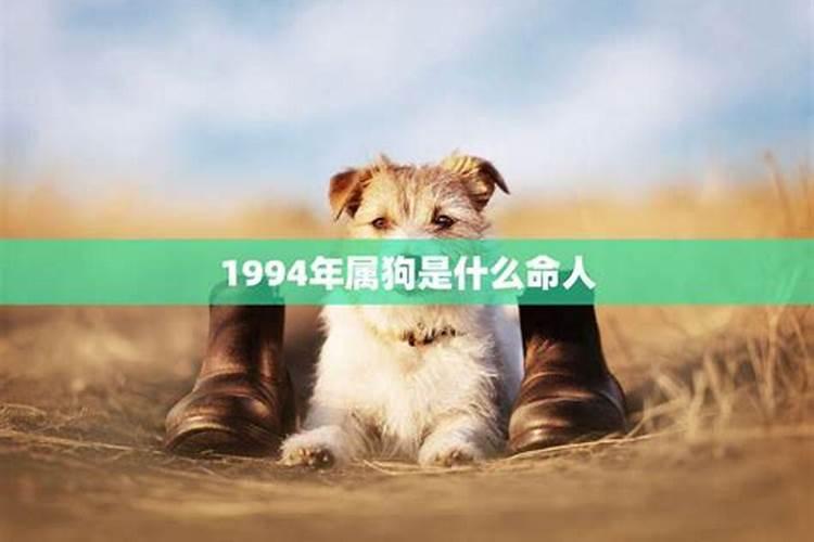 1994年属狗纳音是什么命