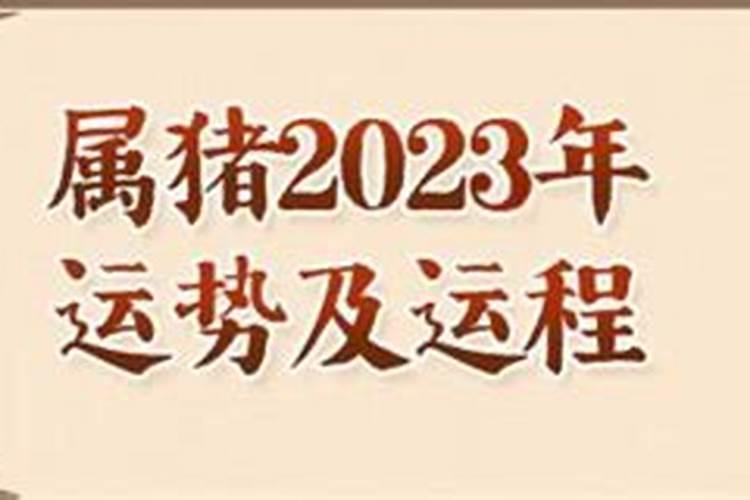 属猪人2023年全年运势男性