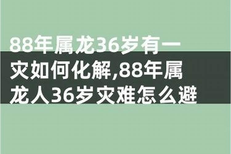 88年属龙人42岁灾难怎么避