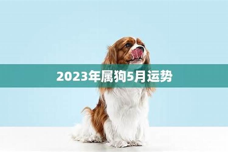 2024年属马的有没有犯太岁