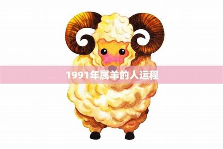 1991年属羊的人哪一年运势最佳呢女孩