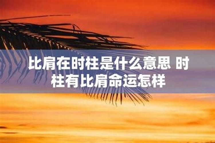 命运比肩什么意思