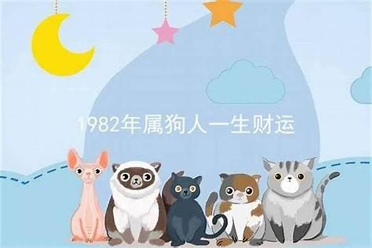 1982年农历十月属狗是什么命运