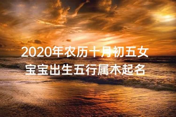 2022农历十一月五行属什么