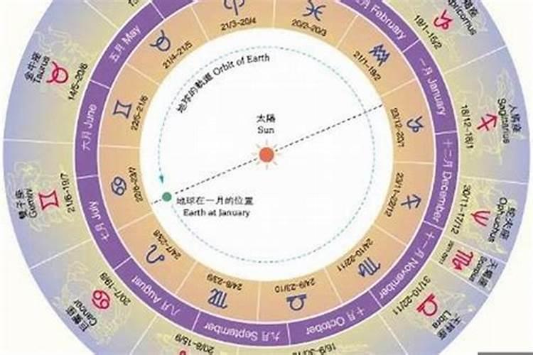 82年农历7月26出生命运如何