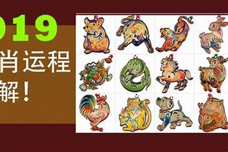 属鸡和属猪的2023年虎年结婚好吗