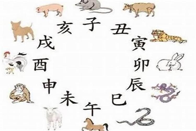 猪蛇单挑是什么生肖