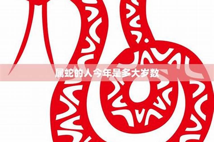 属蛇的今年多大年龄2020