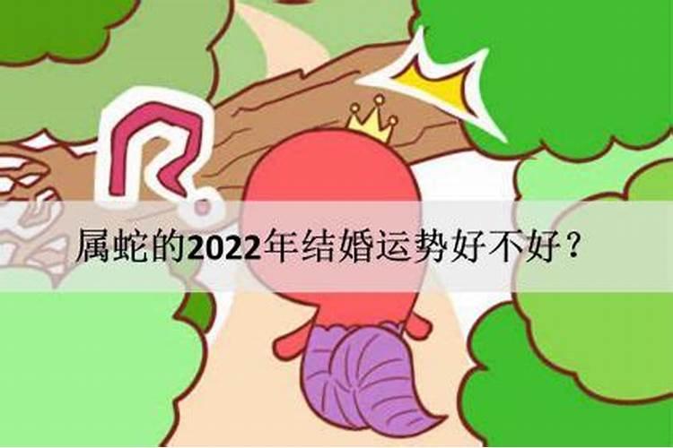 属蛇的2022年结婚好不好