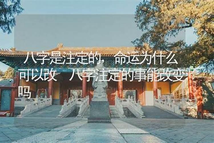 八字注定的命运能改变么吗知乎