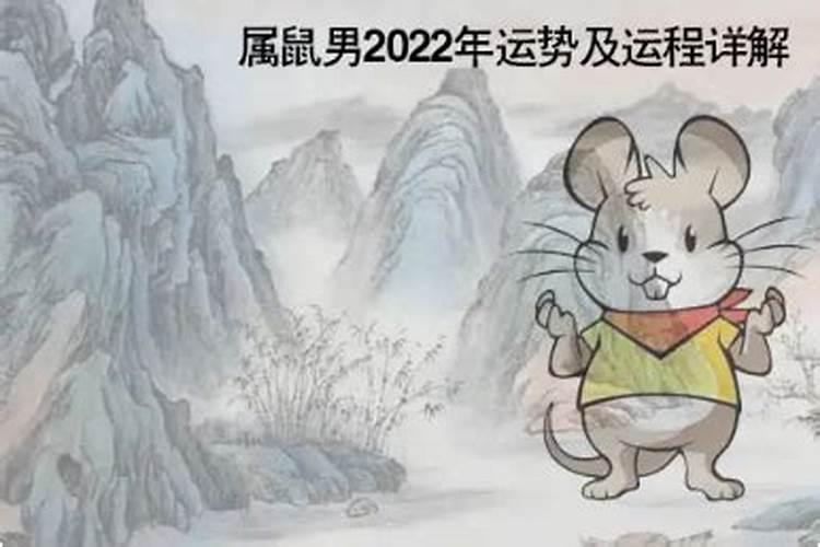 2022年属鼠的运势怎么样