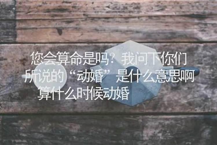 算命的小婚是什么意思