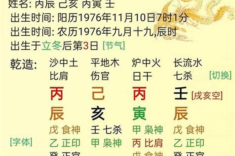 丙午日生于亥月富贵八字