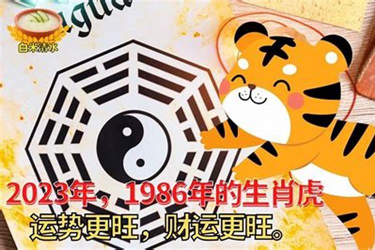 1986年出生的属虎的