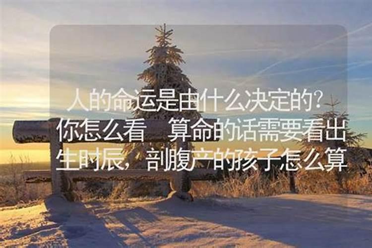 什么时辰出生的人运气好呢